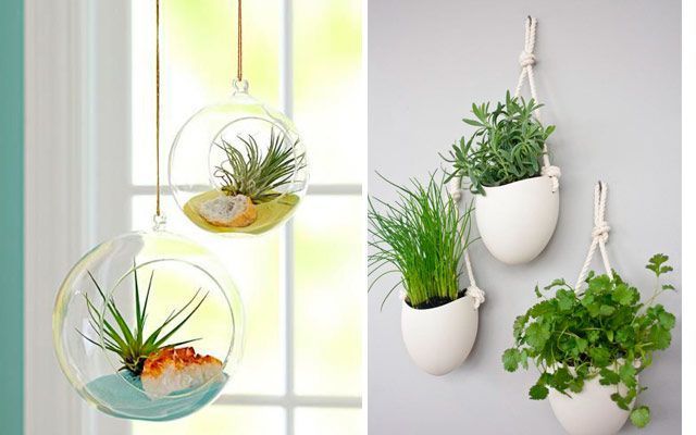 17 ideas prácticas para decorar la cocina con plantas y darle un