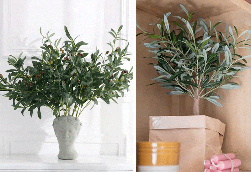 Ideas para decorar con olivos pequeños