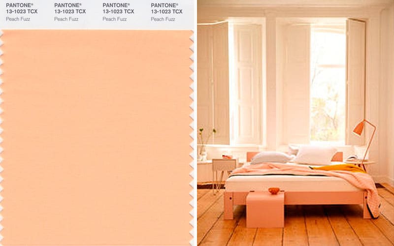 Color Pantone del año 2024 Peach Fuzz , color melocotón crea un ambiente acogedor.