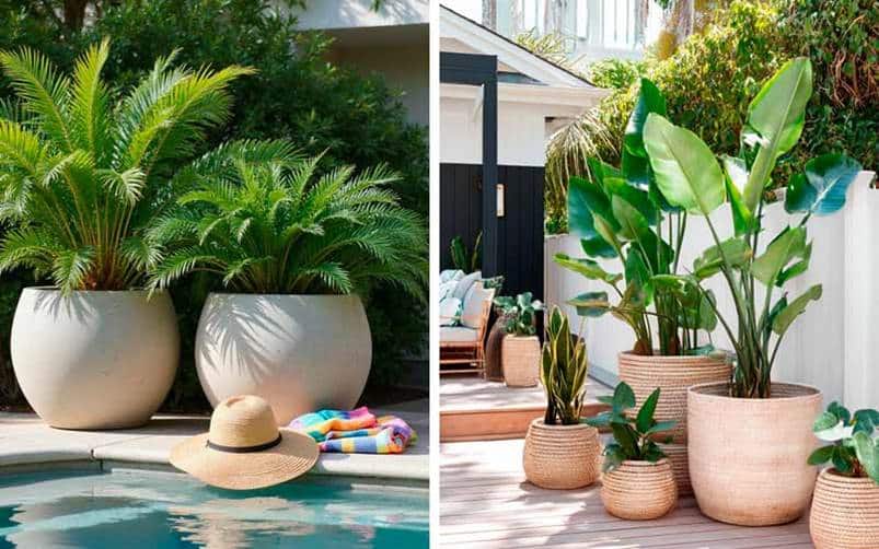 Maceteros decorativos para la zona de piscina