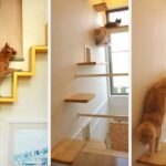 decoracion-interiores-mascotas-gatos