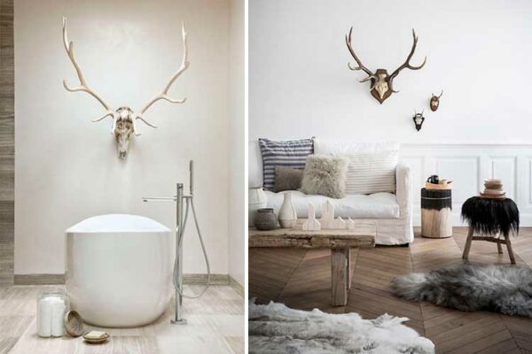 Todo sobre la decoración animal