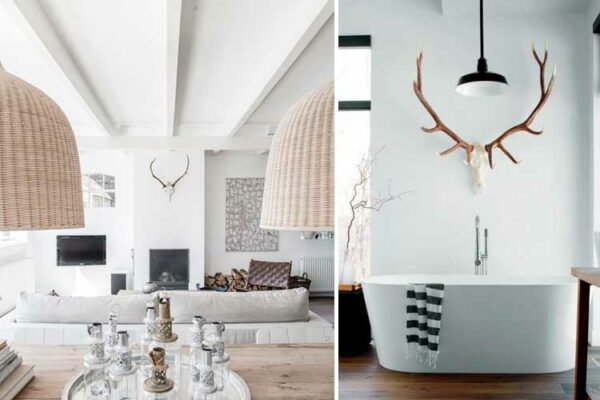 Todo sobre la decoración animal