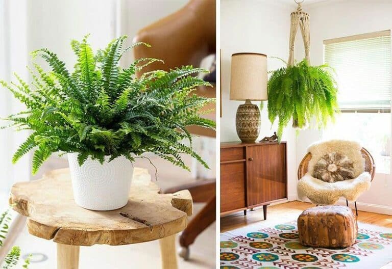 Cómo refrescar el hogar en verano - Decofilia.com