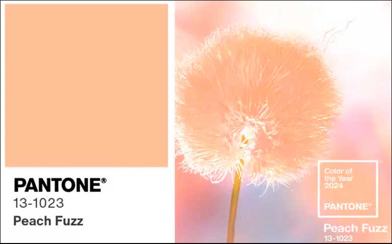 Peach Fuzz - color Pantone 2024 y sus aplicaciones en decoración